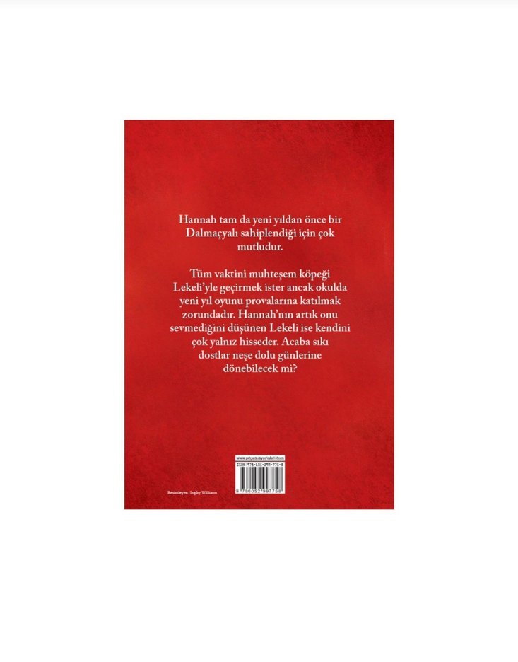 Lekeli'nin Yalnız Yeni Yılı - Holly Webb - Görsel 2