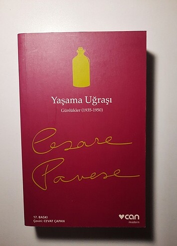 Yaşama Uğraşı