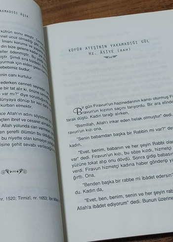 Ateşin Yakmadığı Âşık - Dilaver Selvi - Görsel 6