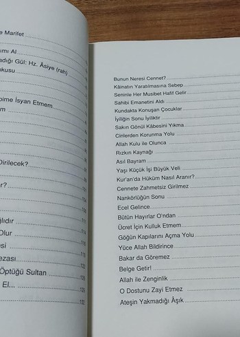 Ateşin Yakmadığı Âşık - Dilaver Selvi - Görsel 4