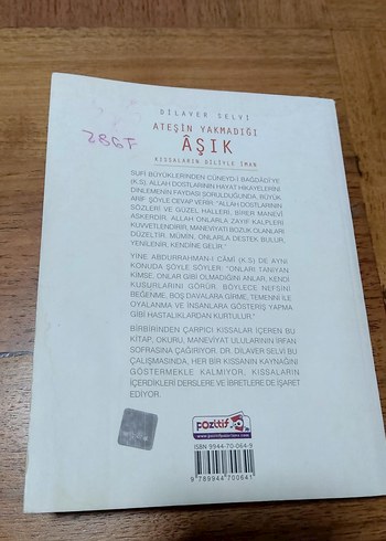 Ateşin Yakmadığı Âşık - Dilaver Selvi - Görsel 2