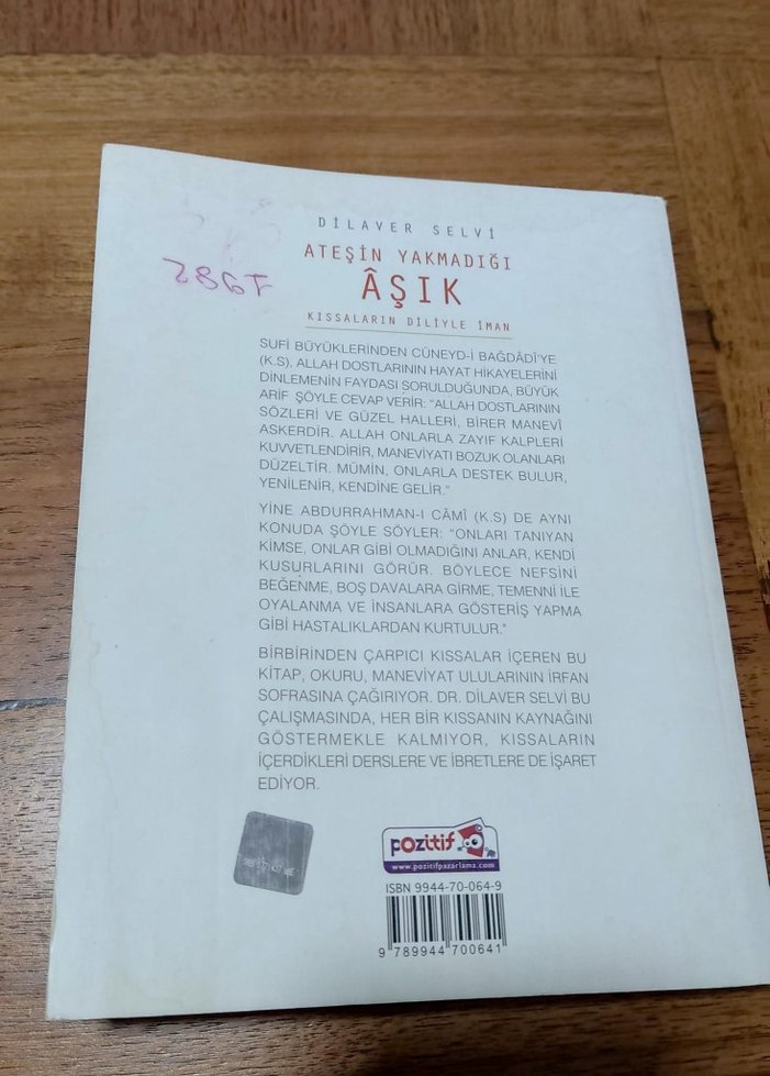 Ateşin Yakmadığı Âşık - Dilaver Selvi - Görsel 2