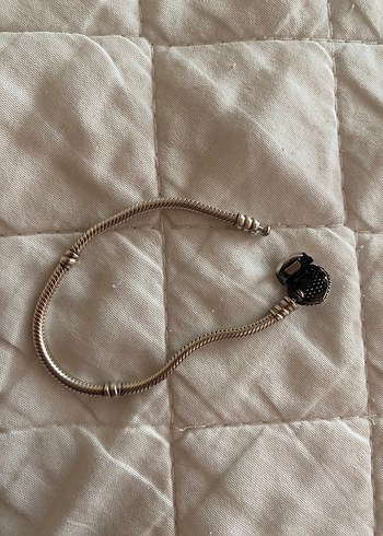 Pandora pandora