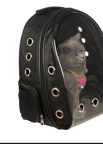Kedi ve kuş taşıma çantası