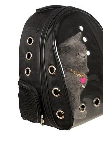 Kedi taşıma çantası