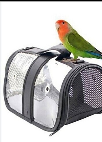 Kuş taşıma çantası