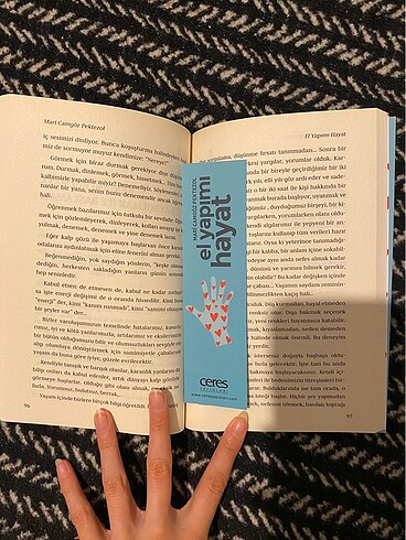  Beden Renk El Yapımı Hayat Kitap