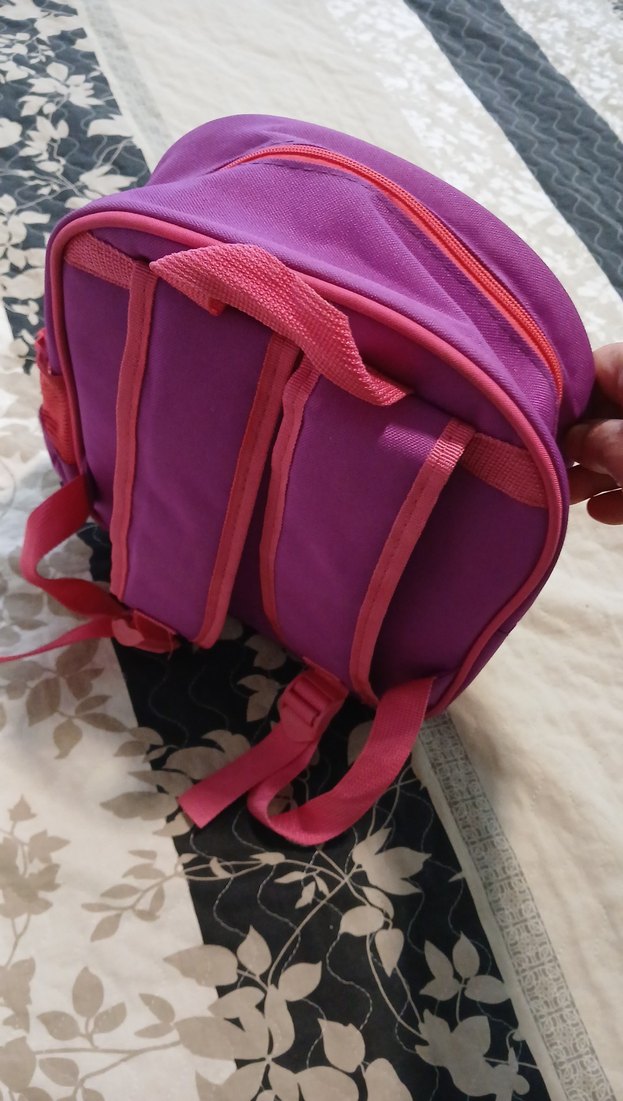 Pembe Frozen Temalı Çocuk Okul Çantası - Görsel 2