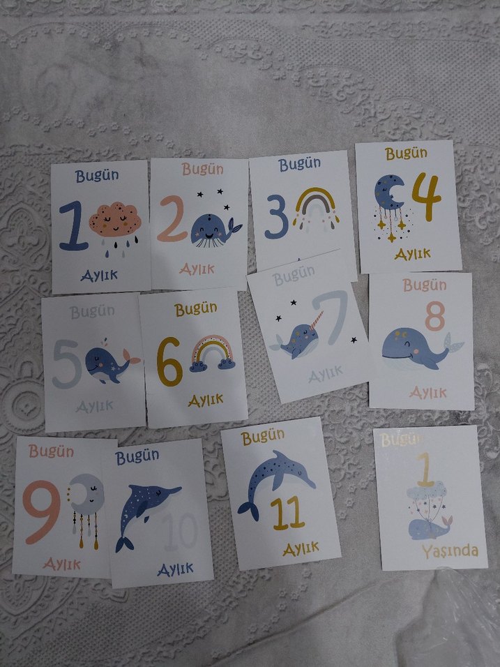 Bebek Aylık Gelişim Kartları 1-12 Ay - Görsel 2