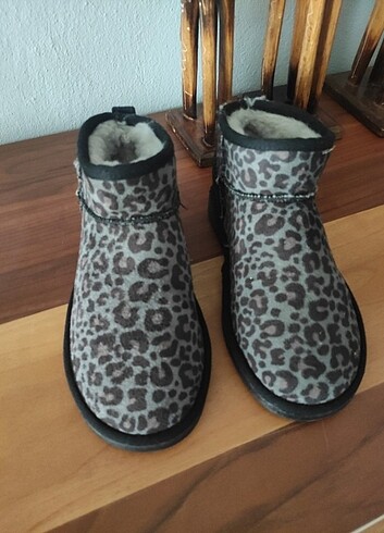 37 Beden Bot leopar