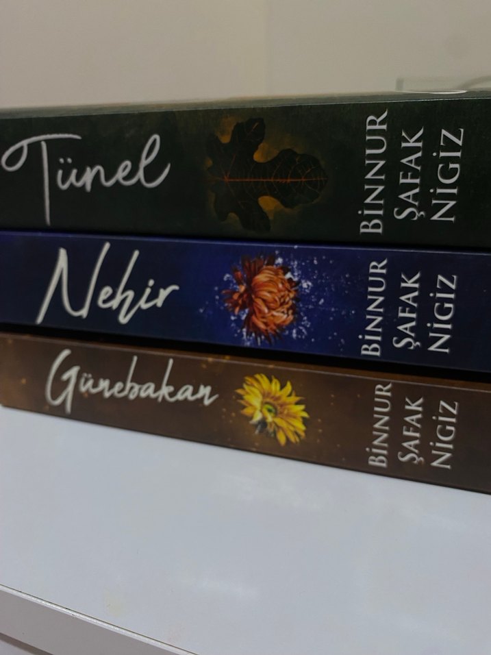 Binnur Şafak Nigiz İs Serisi Roman Seti - Görsel 2