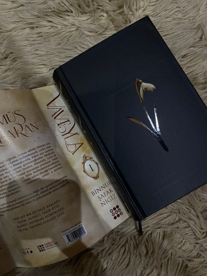 Vaveyla- Binnur Şafak'ın Romanı - Görsel 2