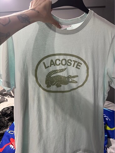 Orjinal lacoste tshirt