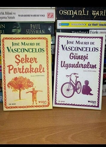  Beden Renk Toplu kitaplar