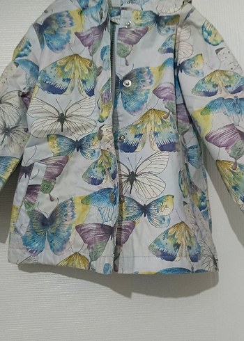 Kız Çocuk Çok Renkli Düğmeli Yağmurluk - Görsel 3