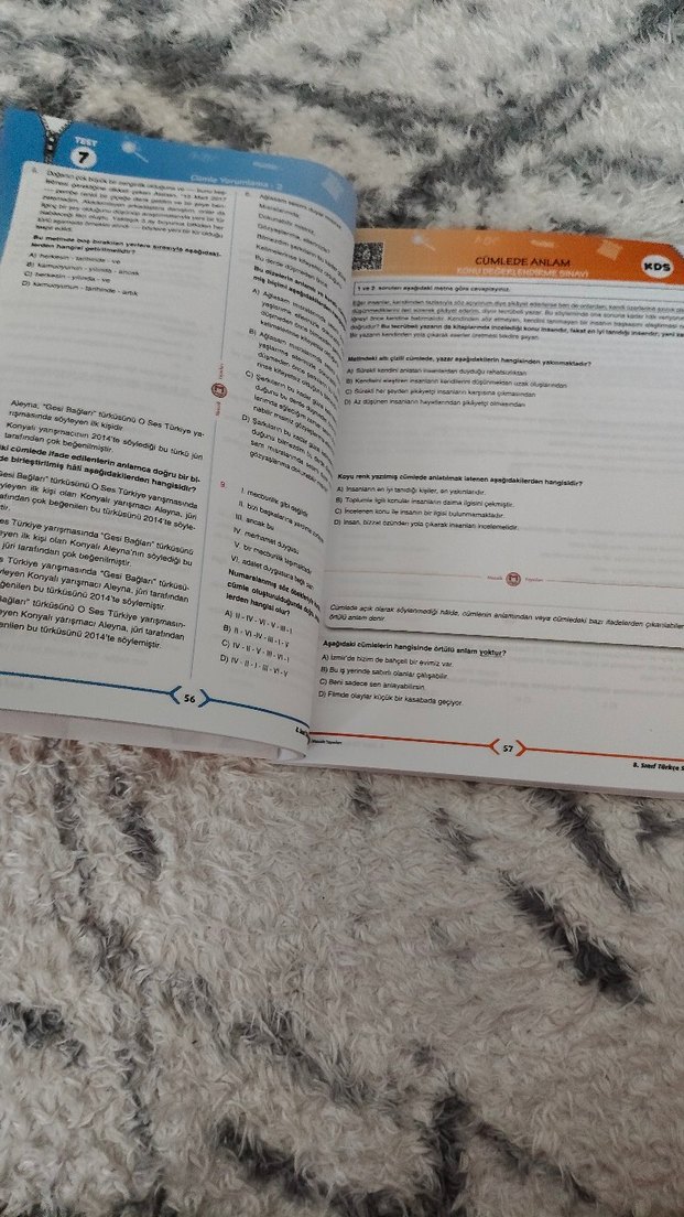 8. Sınıf Türkçe Görsel Soru Bankası - Görsel 5