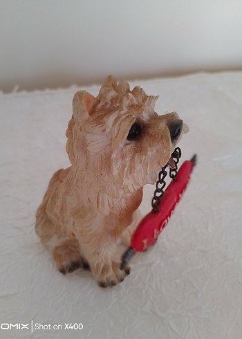 Kırmızı Kalp Tutan Kahverengi Köpek Biblosu - Görsel 2