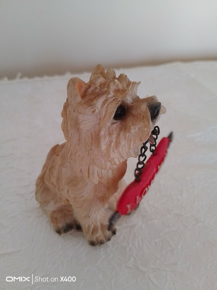 Kırmızı Kalp Tutan Kahverengi Köpek Biblosu - Görsel 2