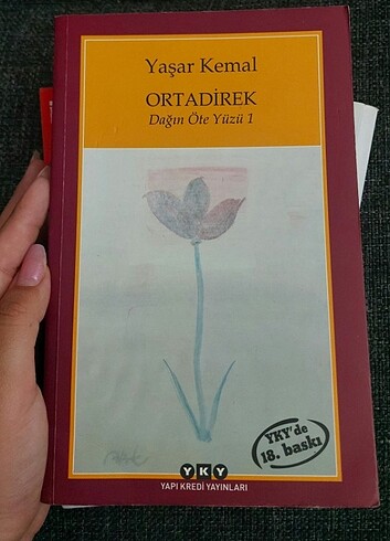 Orta direk