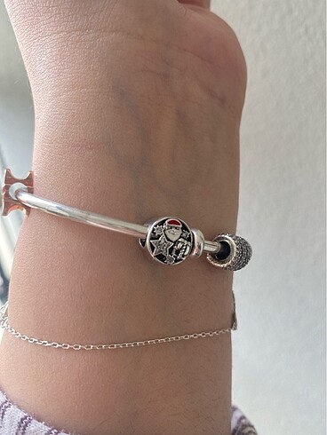 Beden çeşitli Renk Pandora Charm