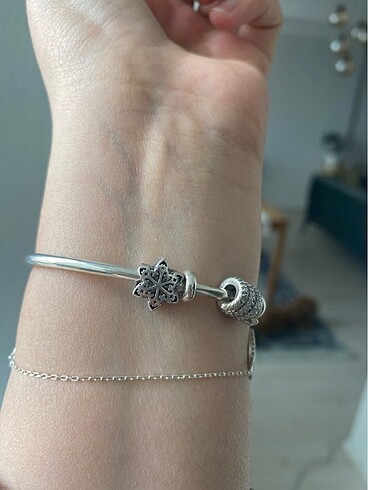 Diğer Pandora charm