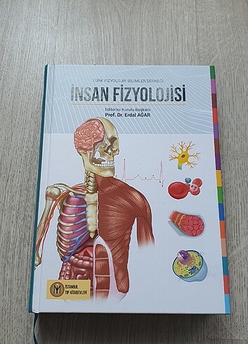 İnsan Fizyolojisi 