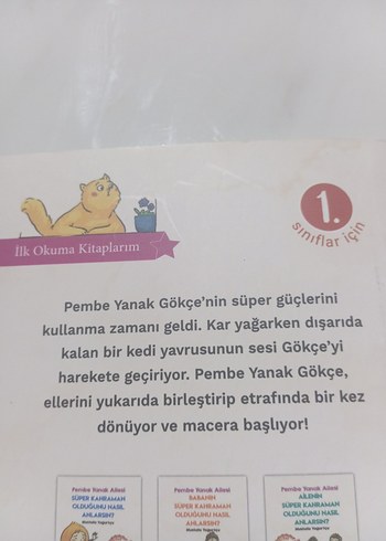 Pembe Yanak Ailesi Süper Kahraman Kitabı - Görsel 4