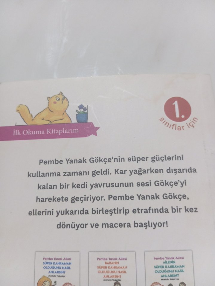 Pembe Yanak Ailesi Süper Kahraman Kitabı - Görsel 4