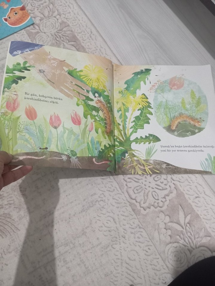 Bir Tırtılın Hikayesi Çocuk Kitabı - Görsel 2