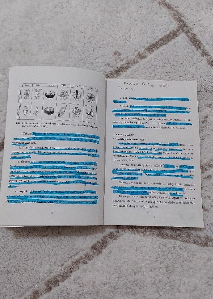 Ziraat Fakültesi Ders Kitabı  - Görsel 4