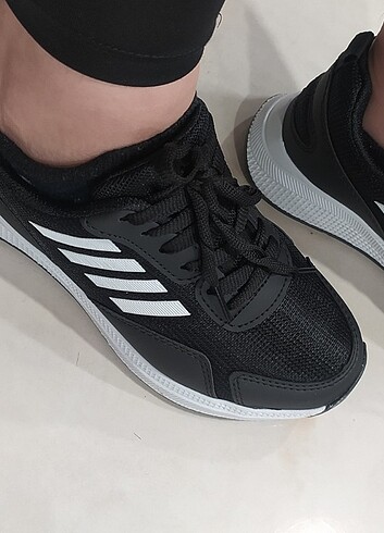 Sporr