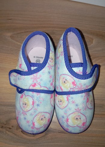 Walt Disney World 25