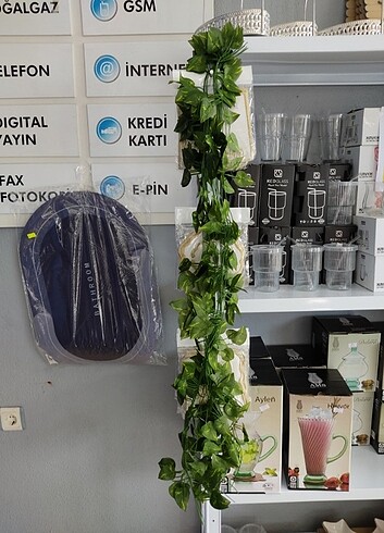 Sarmaşık 