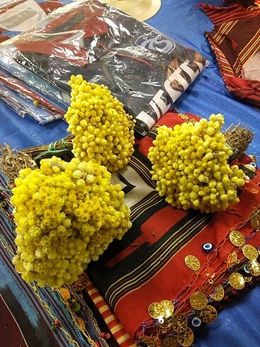 Aksesuar,, çiçek,, altın otu bitkisi,, 
