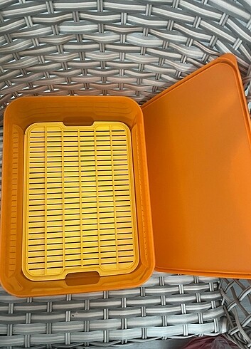 Tupperware sebzelik