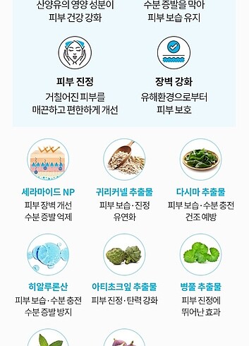 Beden Cream mist