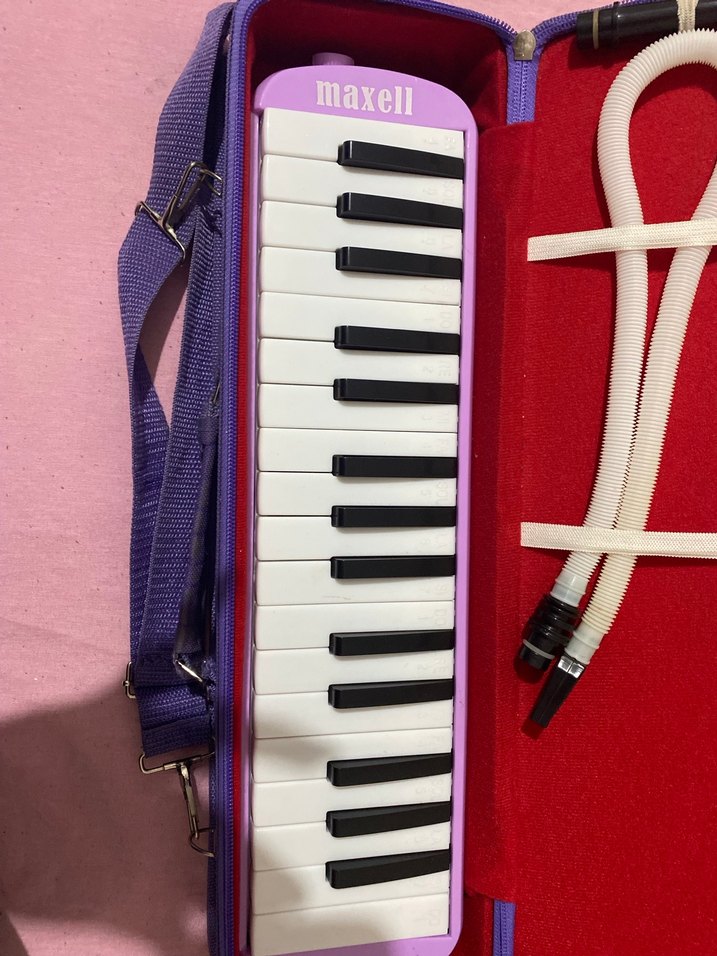 Maxell Mor Melodika Çantasıyla - Görsel 2