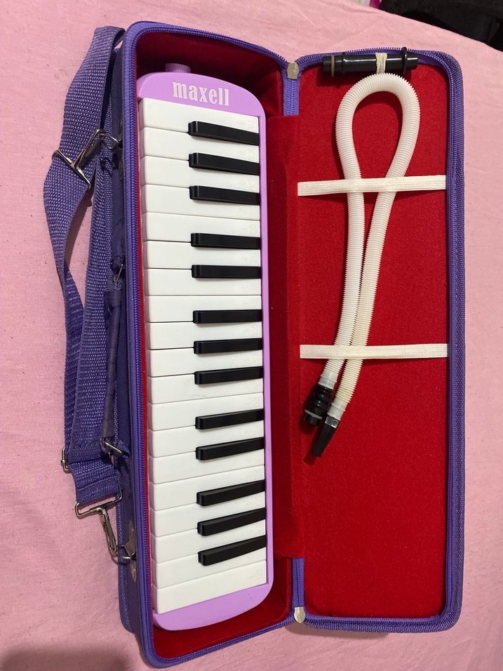 Maxell Mor Melodika Çantasıyla - Görsel 3