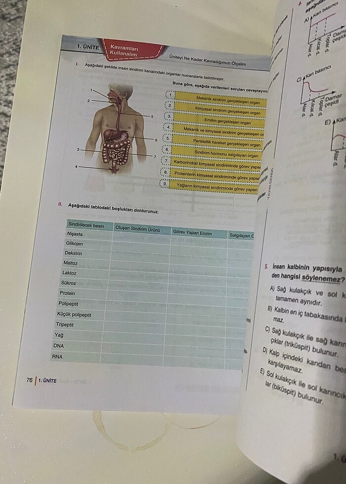 Yayın Denizi 11 sınıf biyoloji soru bankası - Görsel 3