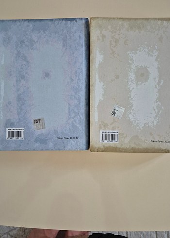 İki Sanat Kitabı Seti - Görsel 2