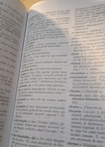 Türkçe Sözlük Kitabı - Görsel 12