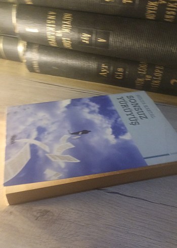 Sonsuz Yürüyüş - Hülya Kartal - Görsel 3