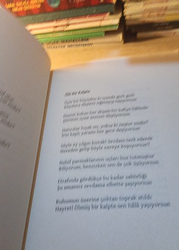 Dilden Dile: Yetim Masallar - Fatih Keskin - Görsel 5