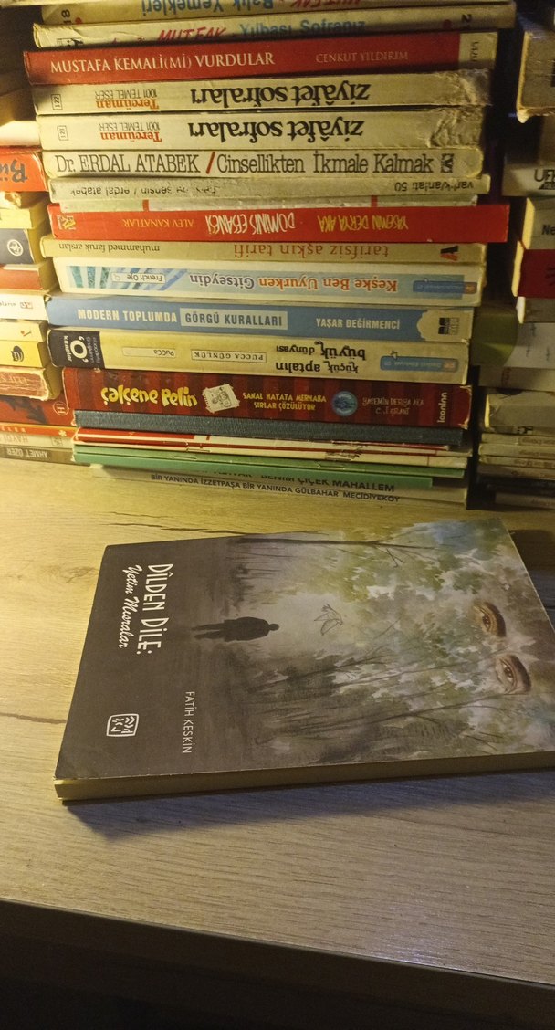 Dilden Dile: Yetim Masallar - Fatih Keskin - Görsel 3