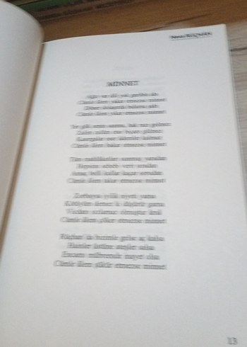 Anka Şiirleri - Neva Rüçhan - Görsel 6