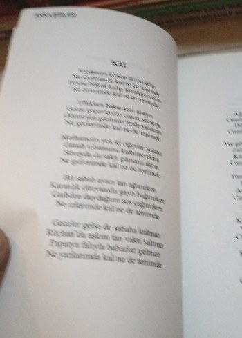 Anka Şiirleri - Neva Rüçhan - Görsel 7