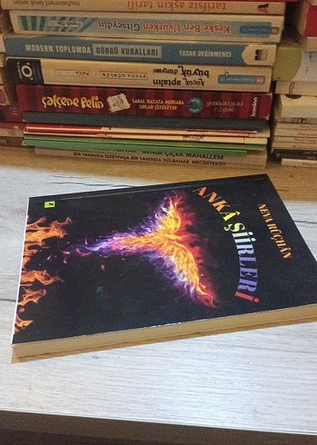 Anka Şiirleri - Neva Rüçhan - Görsel 4