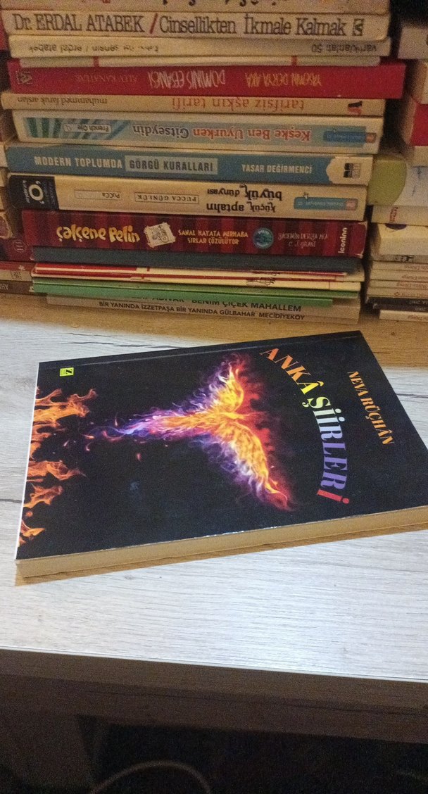 Anka Şiirleri - Neva Rüçhan - Görsel 4