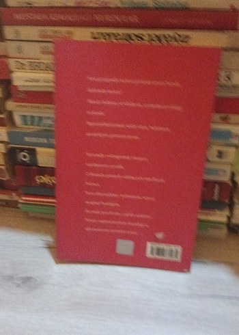 Gün Görmemiş Düşler - A. Vahap Dağkılk - Görsel 2