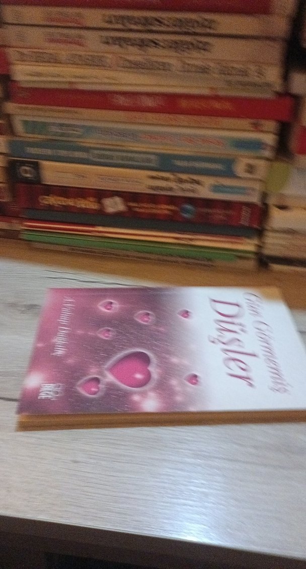 Gün Görmemiş Düşler - A. Vahap Dağkılk - Görsel 3